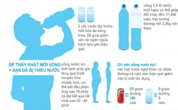 Mập, già và dễ tích bệnh chỉ vì thói quen không uống đủ nước